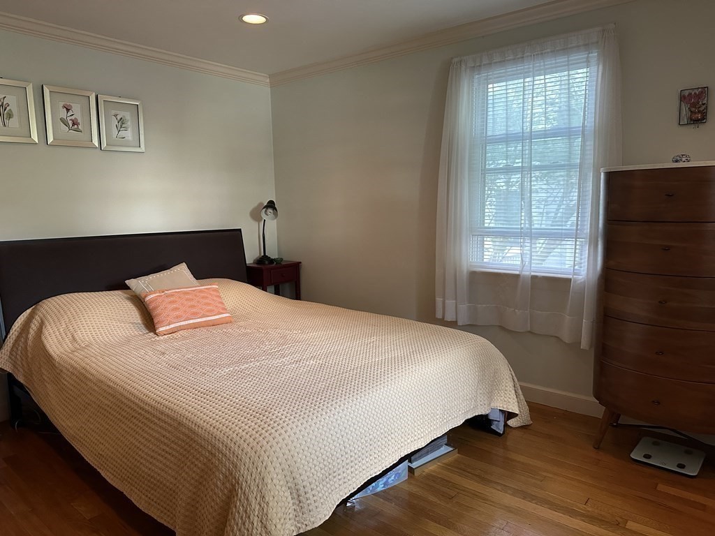 28 Horace Road Belmont, MA 02478 - Photo 20 of 42 Gallery Image 20