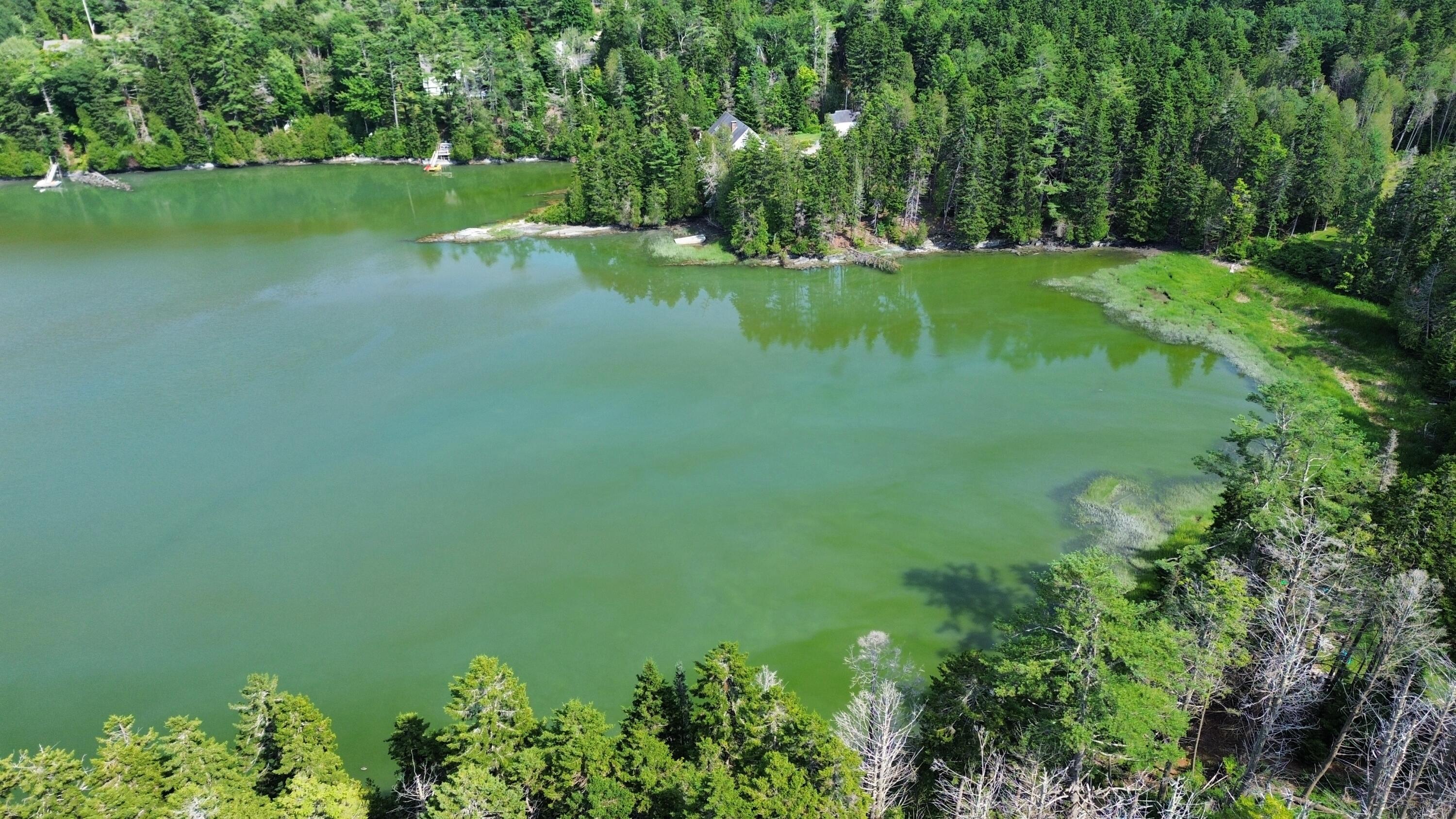 Lot #1 Bayview Road Orrs Island, ME 04066 - Photo 10 of 46 dji_fly_20240713_154020_886_172091594107