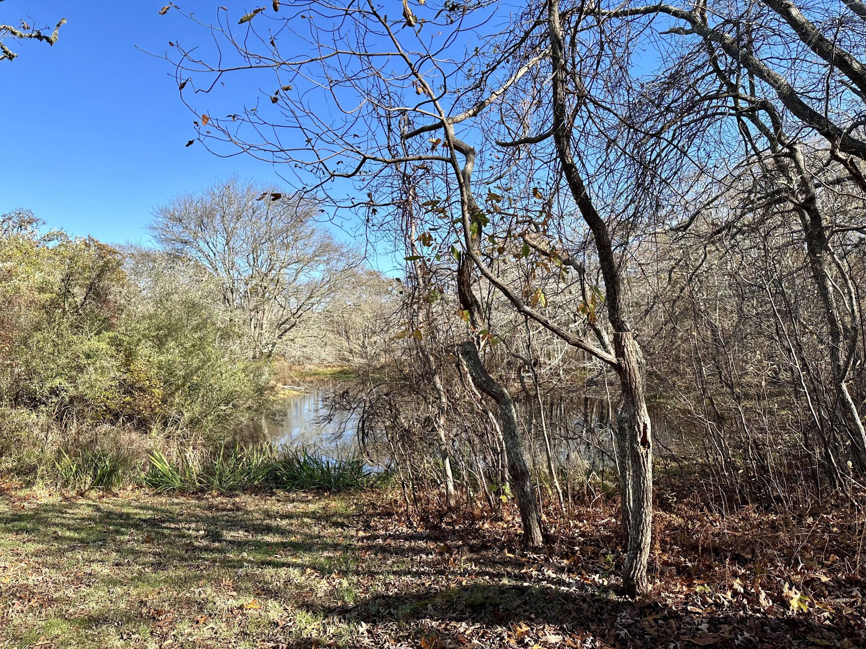 8 Harpoon Hollow Road Aquinnah, MA 02535 - Photo 22 of 29 a view of a backyard of the house