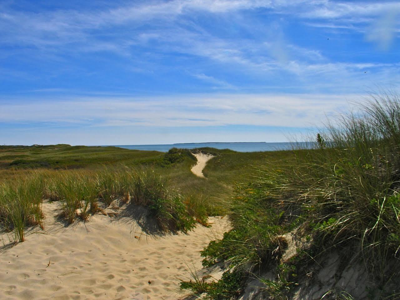 8 Harpoon Hollow Road Aquinnah, MA 02535 - Photo 27 of 29 a view of an ocean