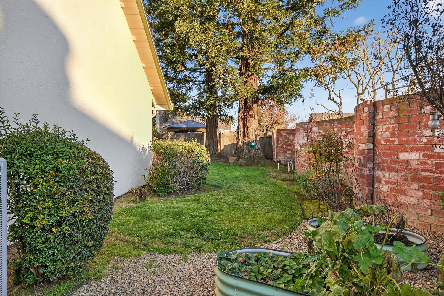 2348 Eilers Lane Lodi, CA 95242 - Photo 42 of 46 a view of a garden with large trees