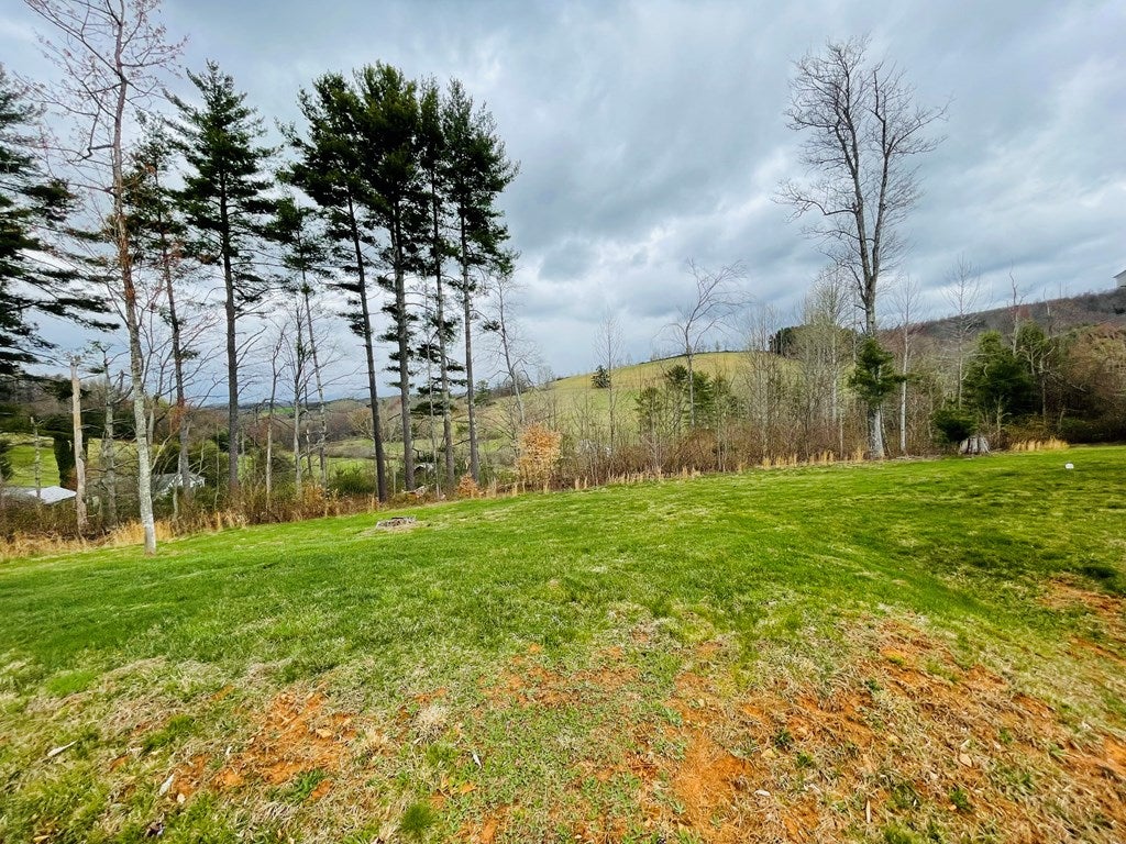 556 Dugspur Road Dugspur, VA 24325 - Photo 17 of 23 Gallery Image 17