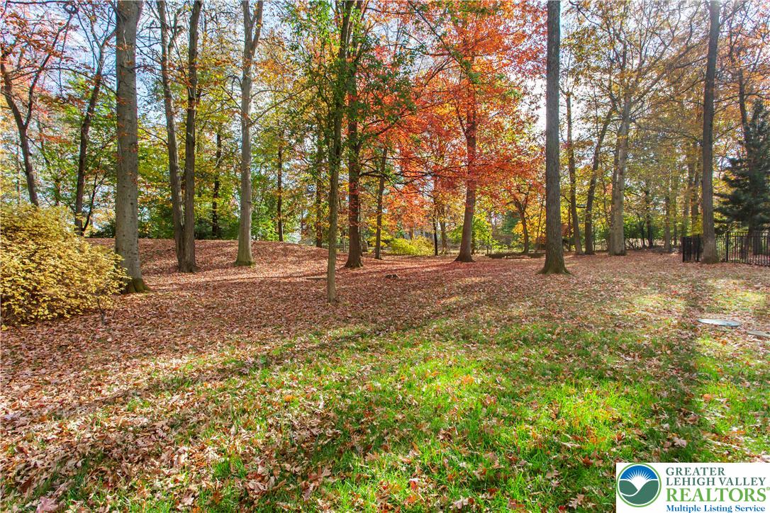 434 Schoeneck Avenue Nazareth, PA 18064 - Photo 36 of 39 a view of a tree in the middle of a yard