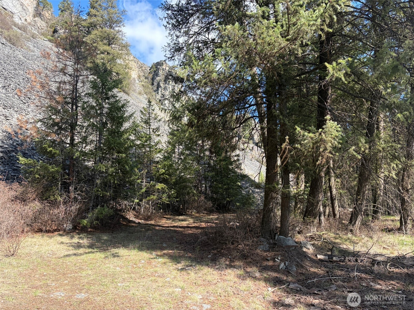 111-tbd West Curlew Lake Road Republic, WA 99166 - Photo 14 of 17