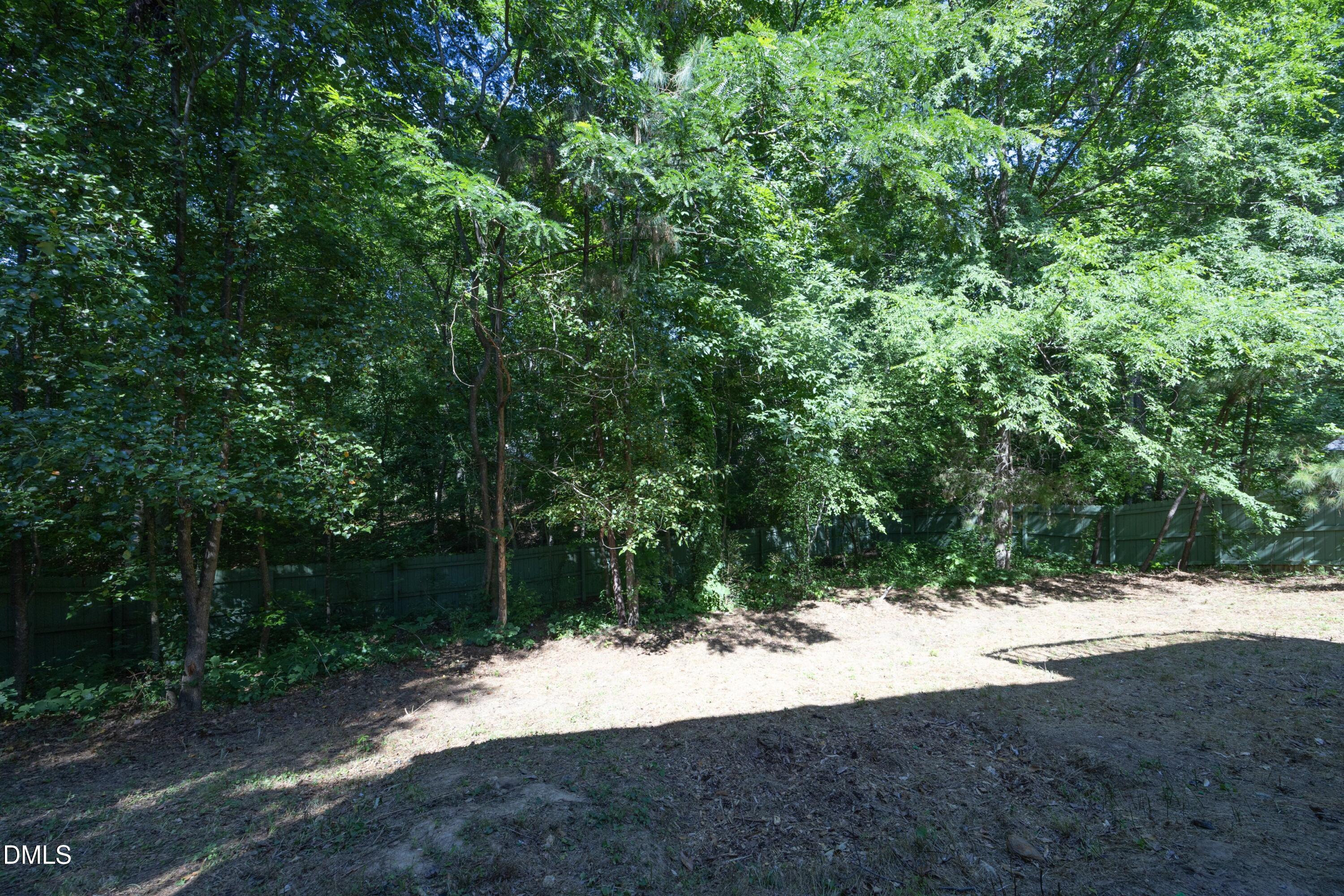 222 Ruby Ridge Road Durham, NC 27703 - Photo 29 of 29 28Back