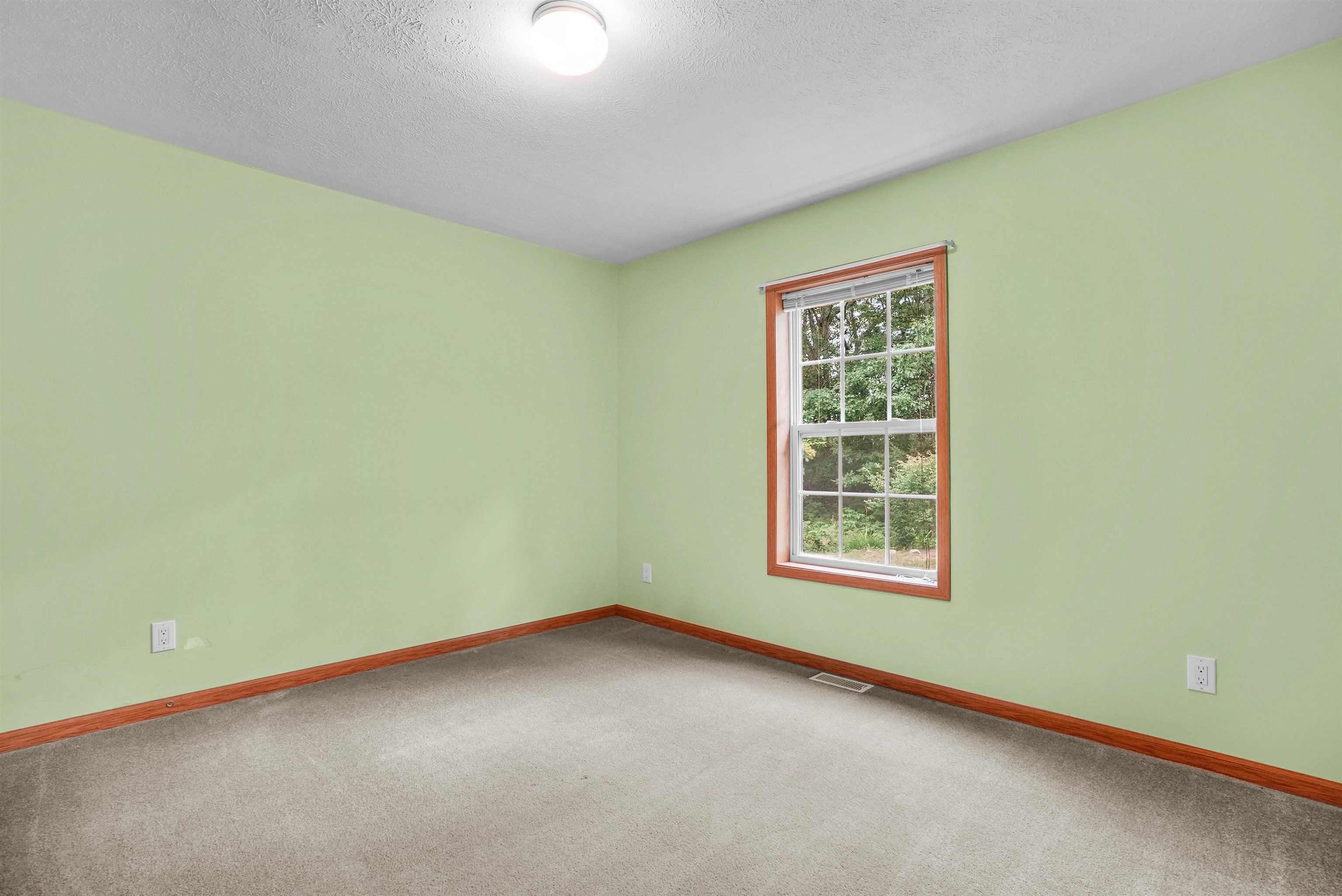 8561 Grand-Kal Road Southwest Fife Lake, MI 49633 - Photo 13 of 41 1937033-110a7a3a-698d-4822-84c2-414d2d3cfb4c.JPG