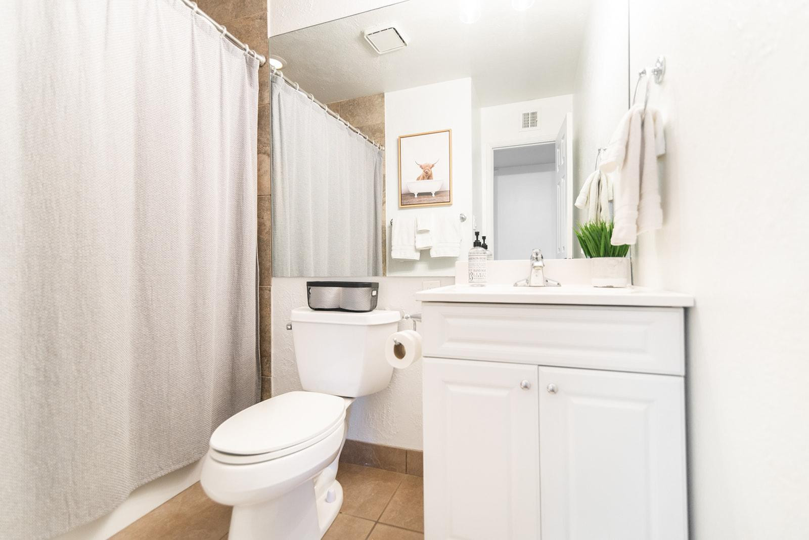 7435 East Granada Road Scottsdale, AZ 85257 - Photo 27 of 28 a bathroom with a sink a toilet a mirror and shower curtain