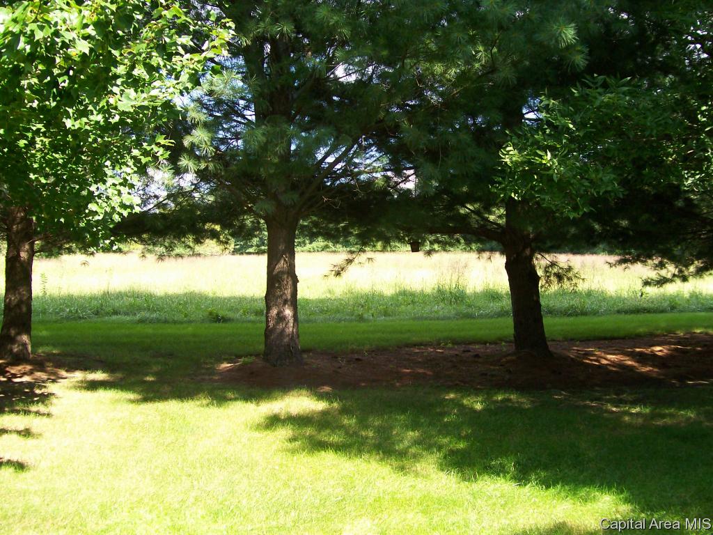 4400 Tulane Court Springfield, IL 62712 - Photo 3 of 12 Gallery Image 3