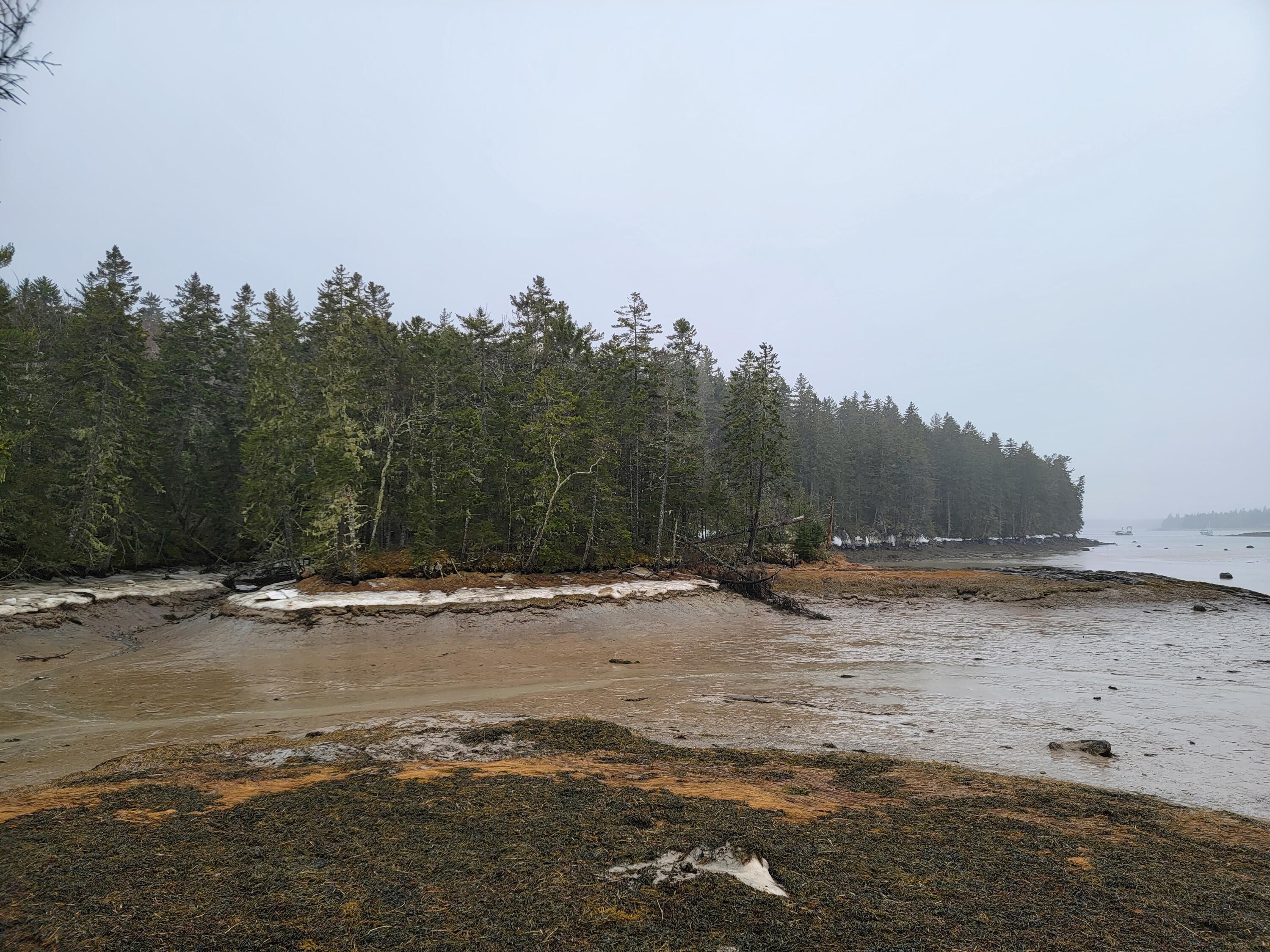 Lot 17 Ripley Road Harrington, ME 04643 - Photo 1 of 4 20220312_101733