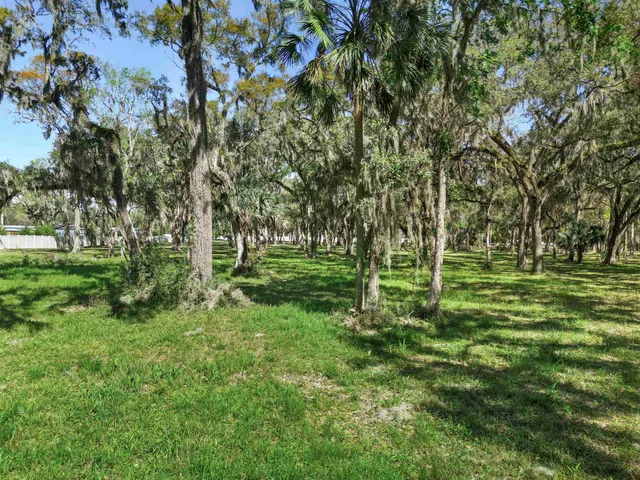 a view of park space