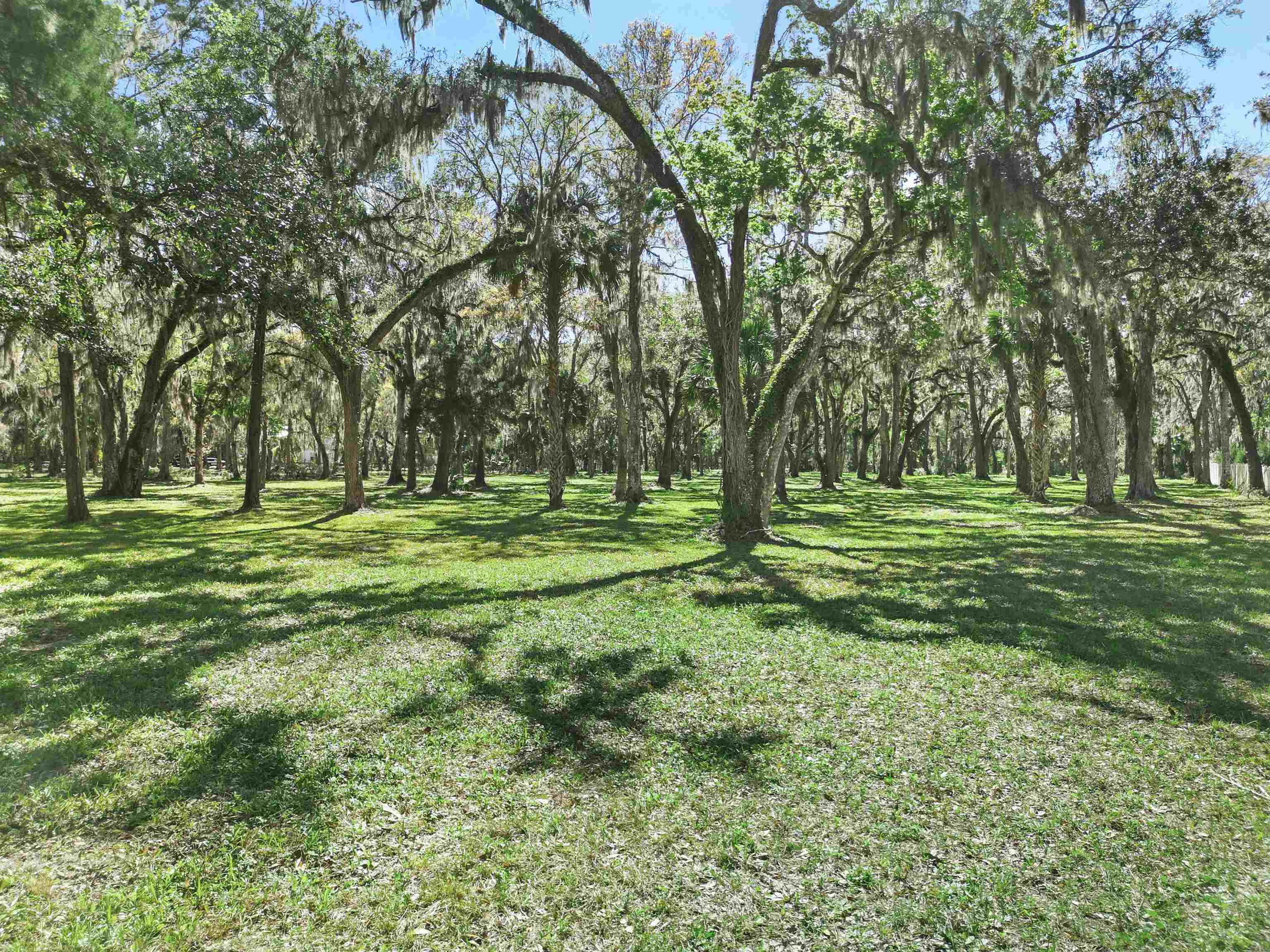 0 Rolling Hills Drive St. Augustine, FL 32086 - Photo 17 of 19 a huge green field with lots of trees