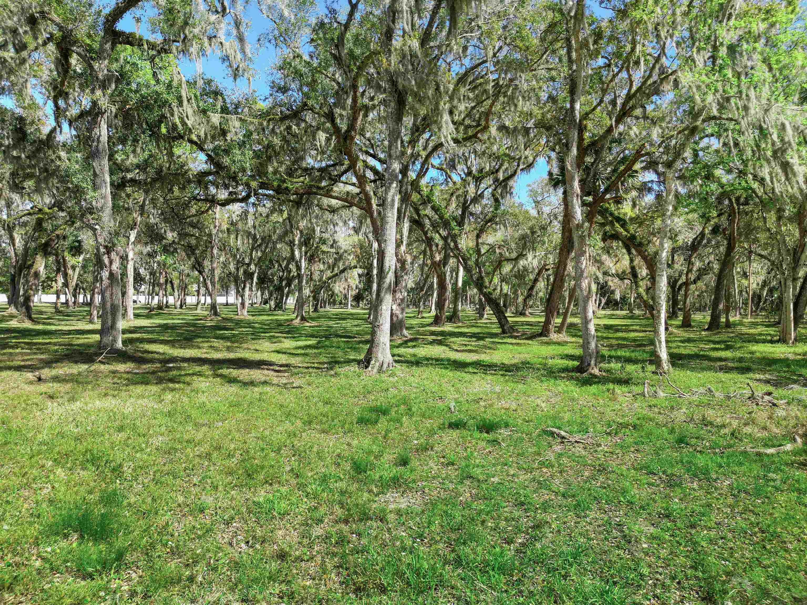 0 Rolling Hills Drive St. Augustine, FL 32086 - Photo 18 of 19 a view of park space