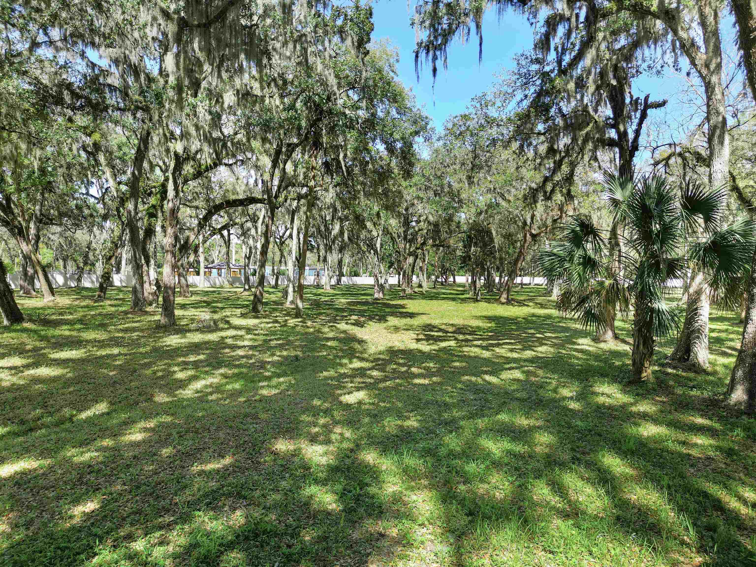 0 Rolling Hills Drive St. Augustine, FL 32086 - Photo 19 of 19 a big yard with lots of trees