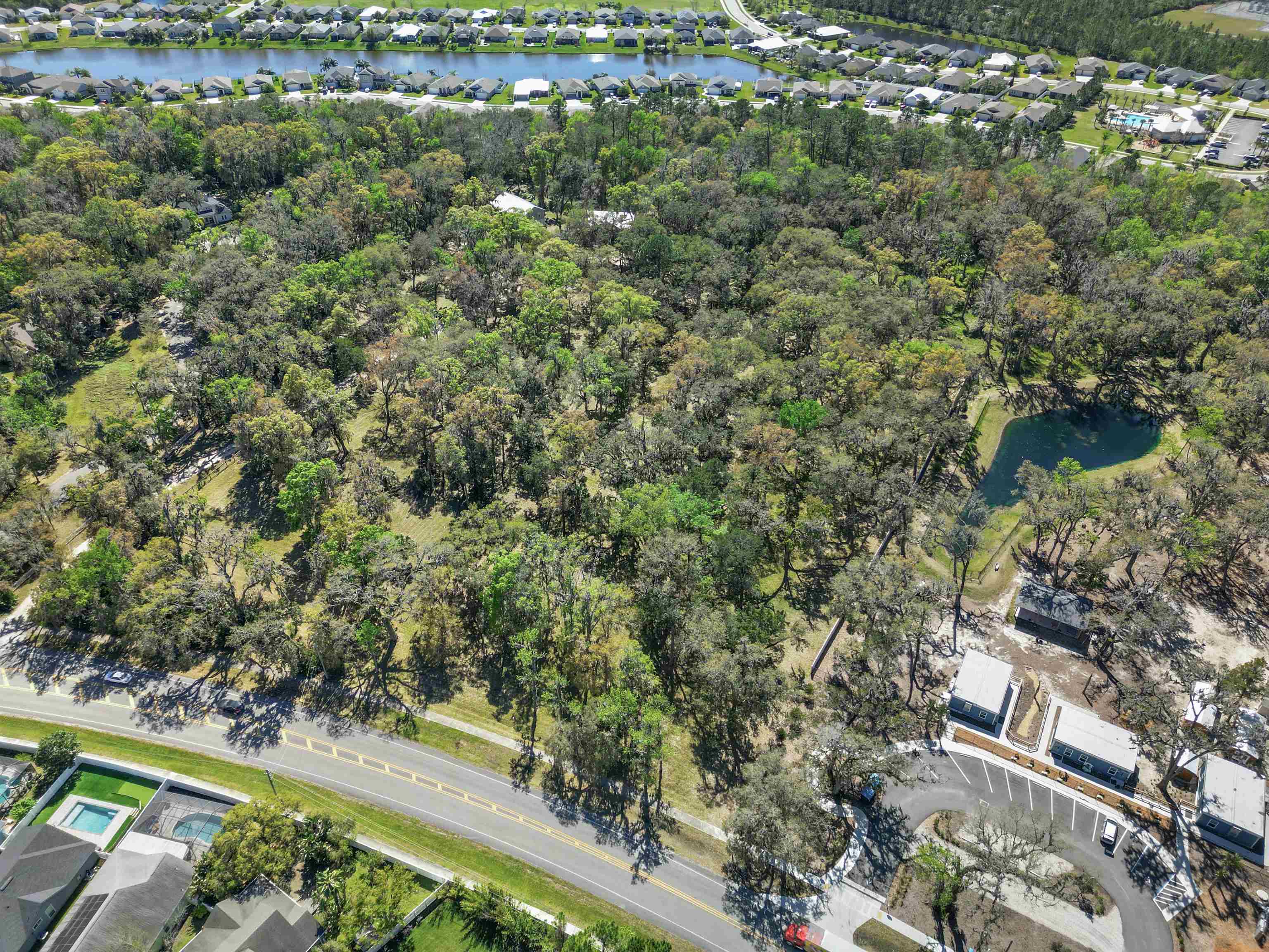 0 Rolling Hills Drive St. Augustine, FL 32086 - Photo 5 of 19 a view of a forest next to a yard