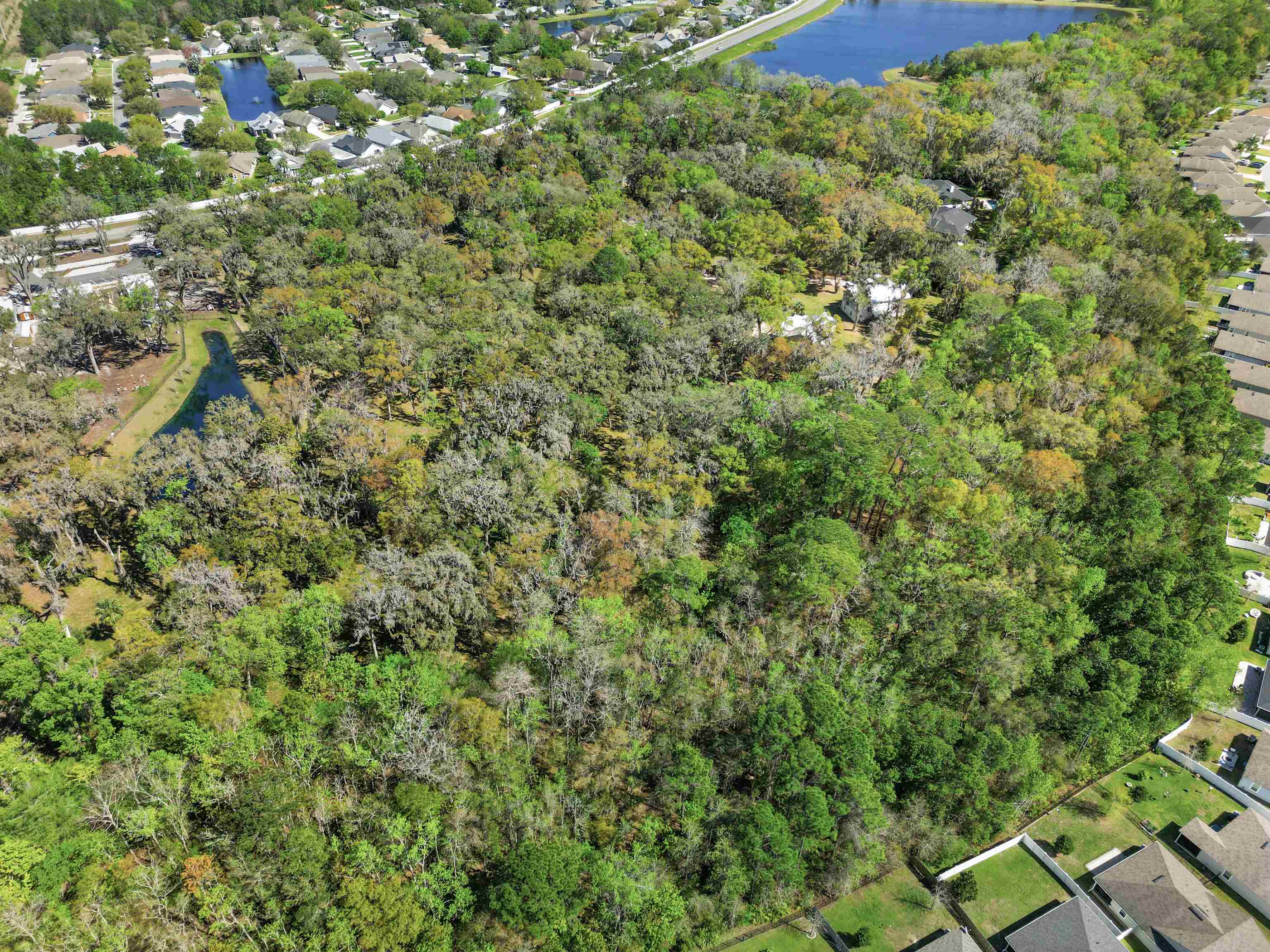 0 Rolling Hills Drive St. Augustine, FL 32086 - Photo 9 of 19