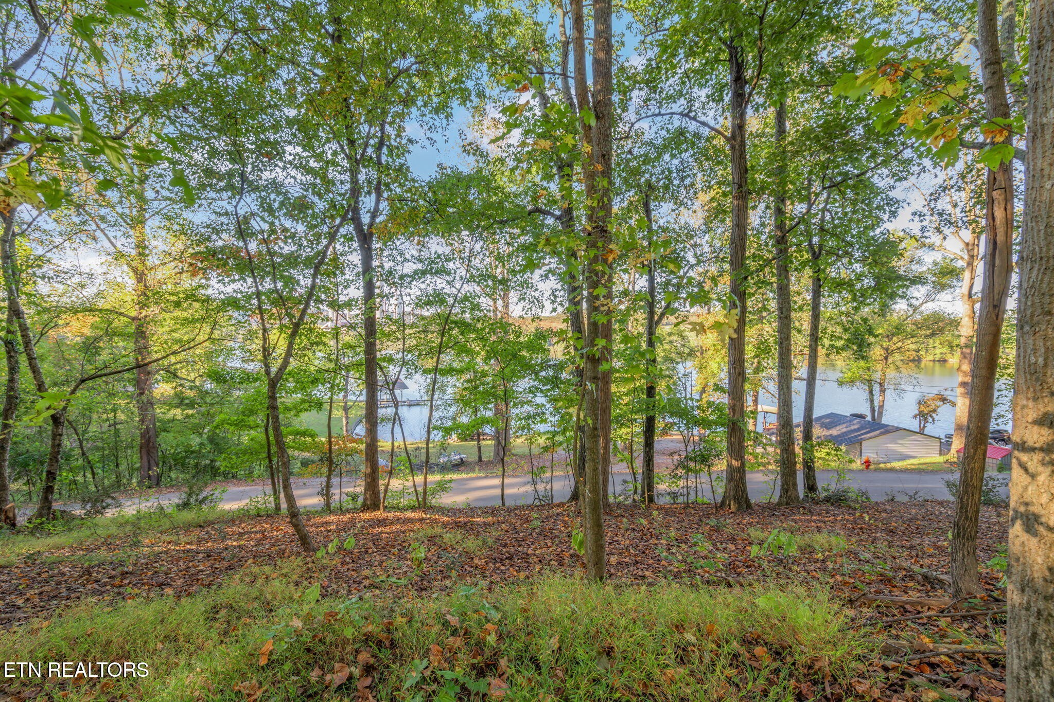 0 Lakewood Road Kingston, TN 37763 - Photo 1 of 22 a view of a yard with lots of trees
