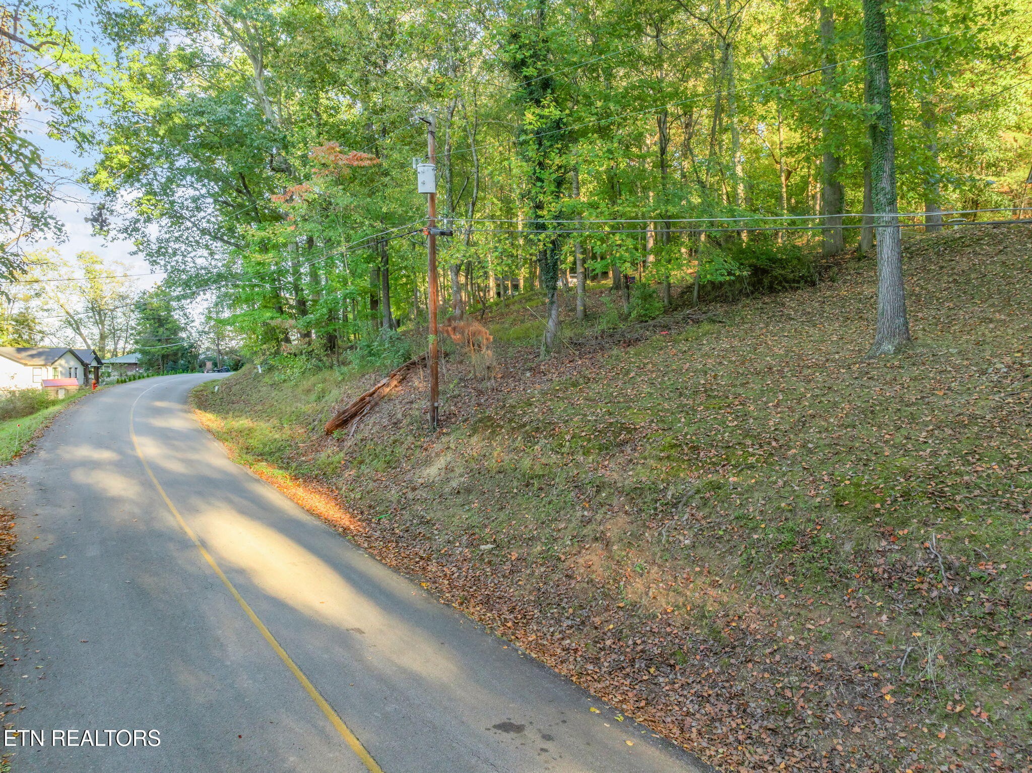 0 Lakewood Road Kingston, TN 37763 - Photo 22 of 22 a view of a forest with trees in the background