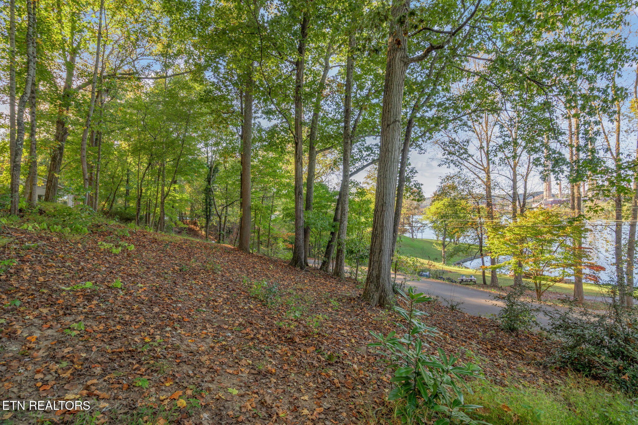 0 Lakewood Road Kingston, TN 37763 - Photo 5 of 22 a view of a forest with trees
