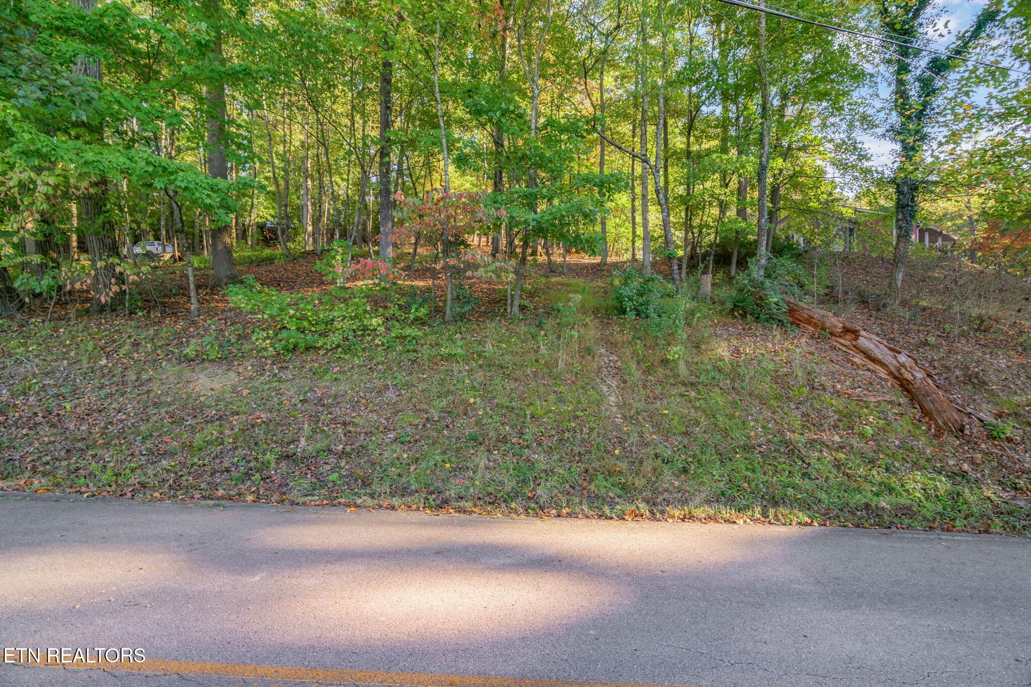 0 Lakewood Road Kingston, TN 37763 - Photo 6 of 22