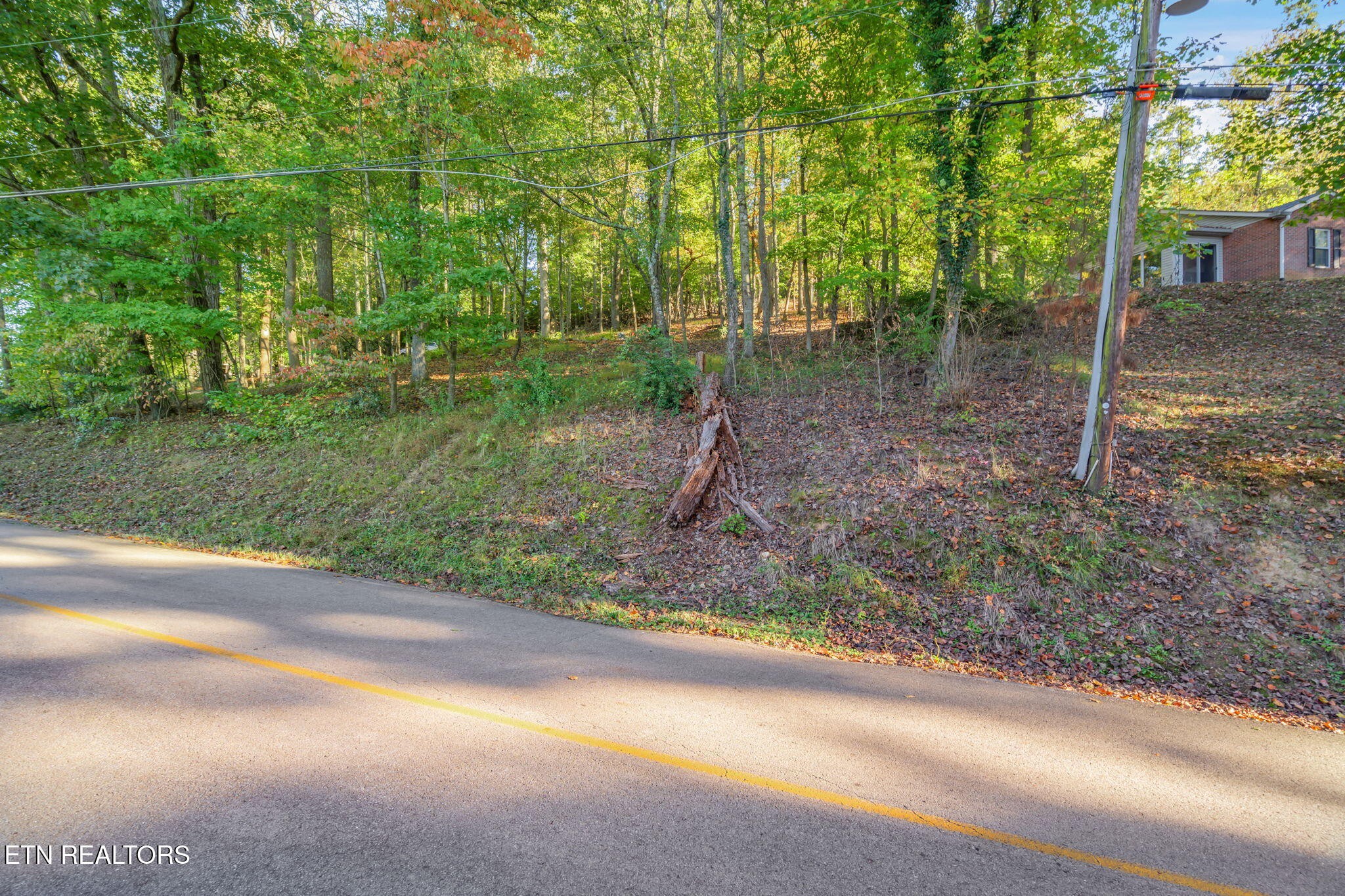 0 Lakewood Road Kingston, TN 37763 - Photo 7 of 22 a view of a park with large trees