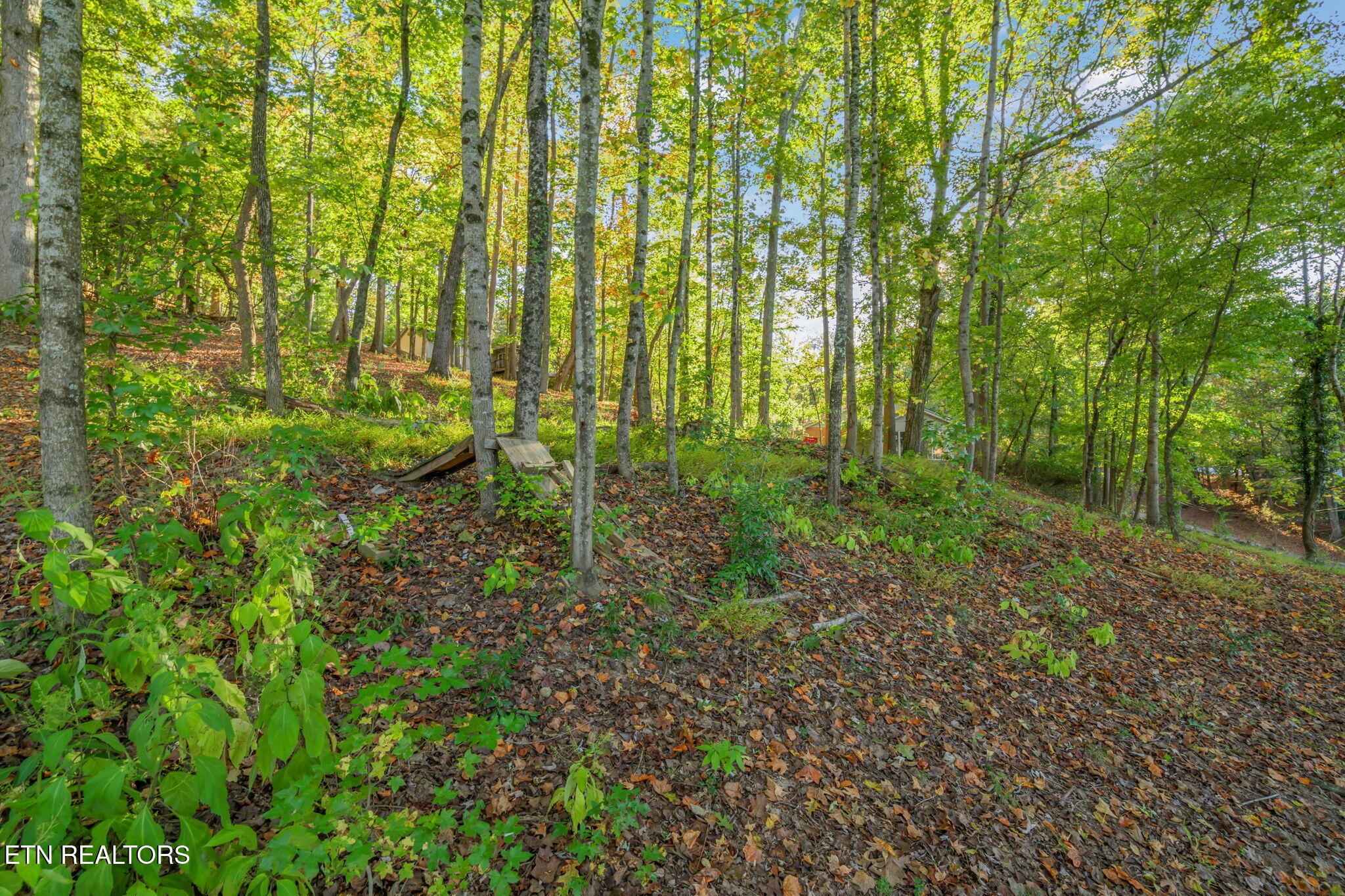 0 Lakewood Road Kingston, TN 37763 - Photo 9 of 22 a view of outdoor space and trees