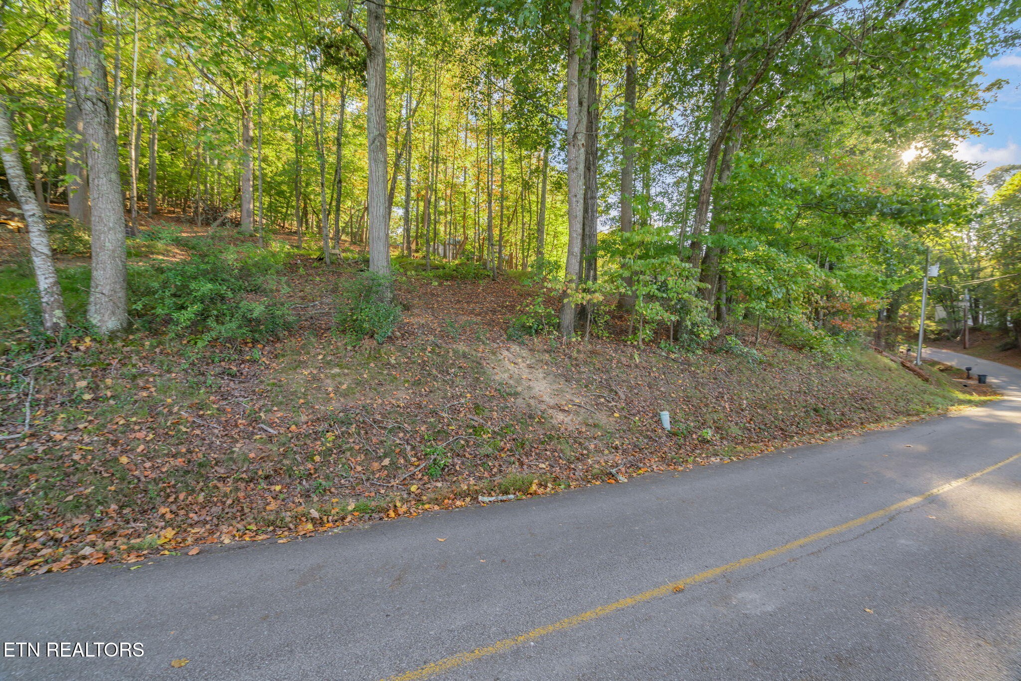 0 Lakewood Road Kingston, TN 37763 - Photo 10 of 22 a view of a backyard with trees