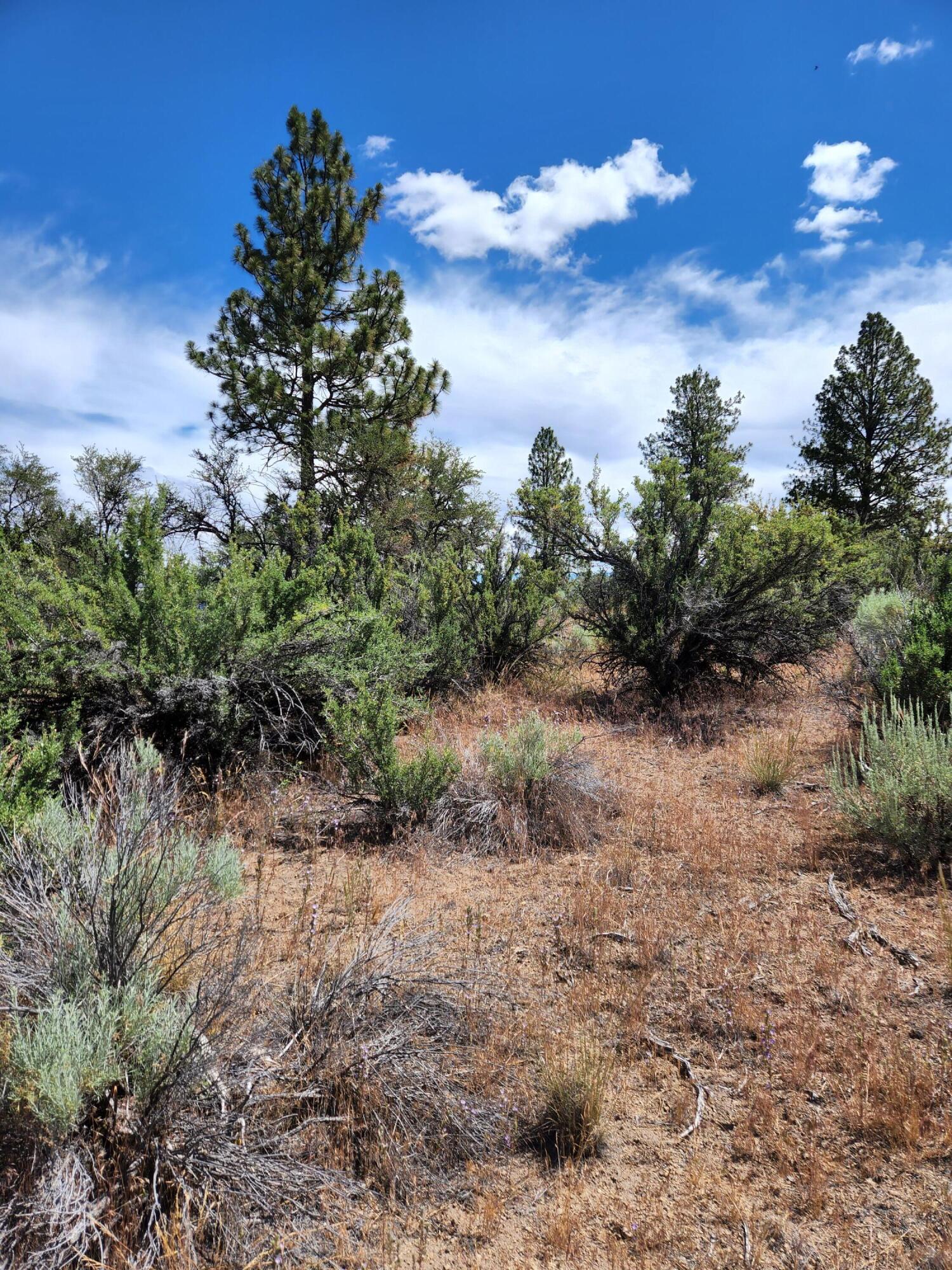 Lot 10 Quarry Circle Beatty, OR 97621 - Photo 6 of 12 Quarry L10