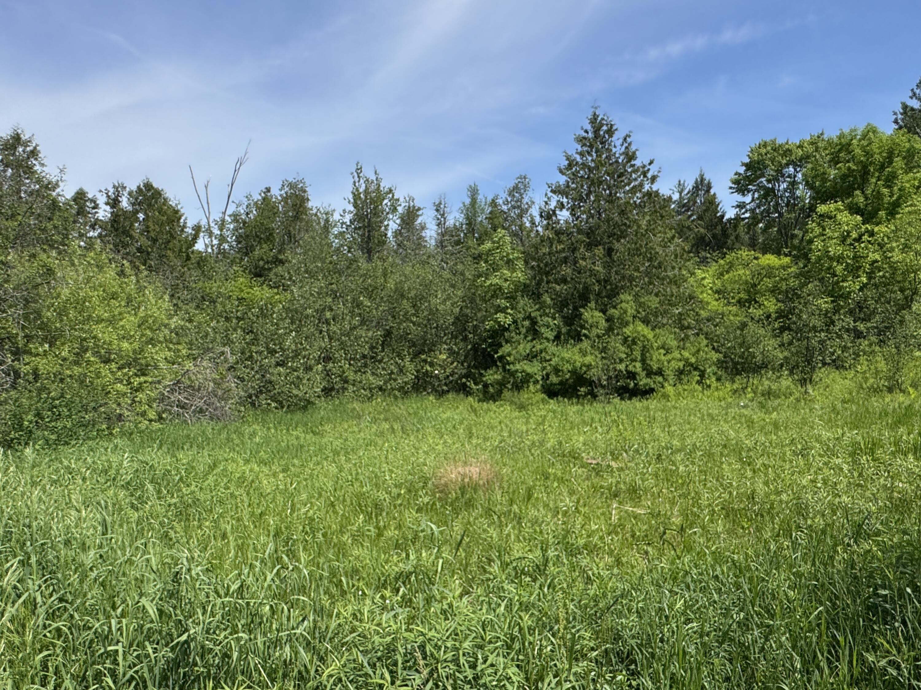 1952 West 16 Road Mesick, MI 49668 - Photo 25 of 49 IMG_5042