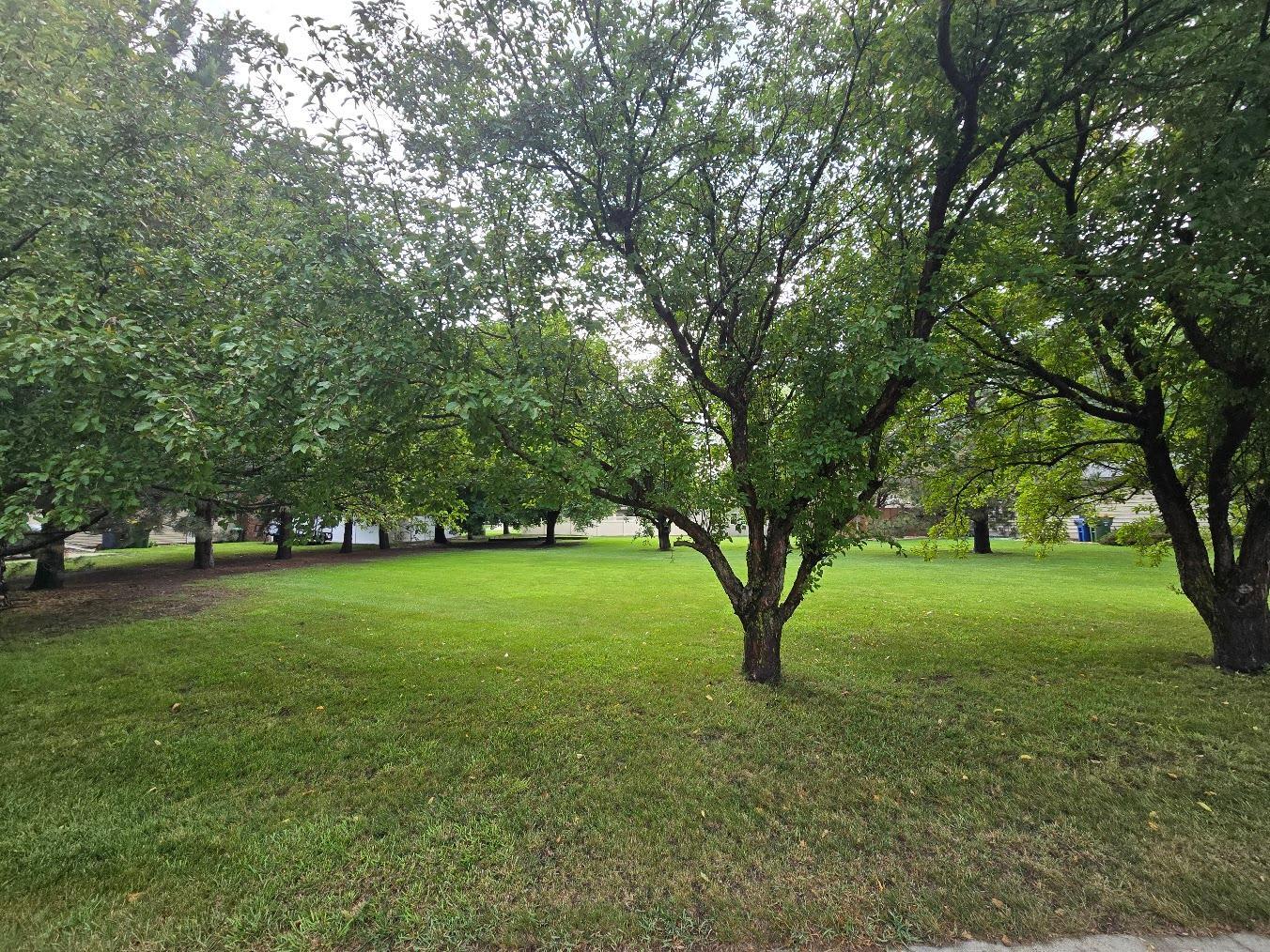 902 6th Avenue Southeast Pipestone, MN 56164 - Photo 40 of 43