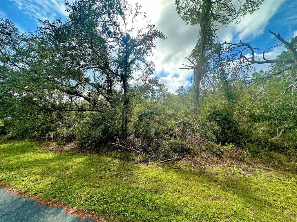 Tbd Southwest 35th Court Road, Unit LOT 27 Ocala, FL 34473 - Photo 1 of 1 Gallery Image 1