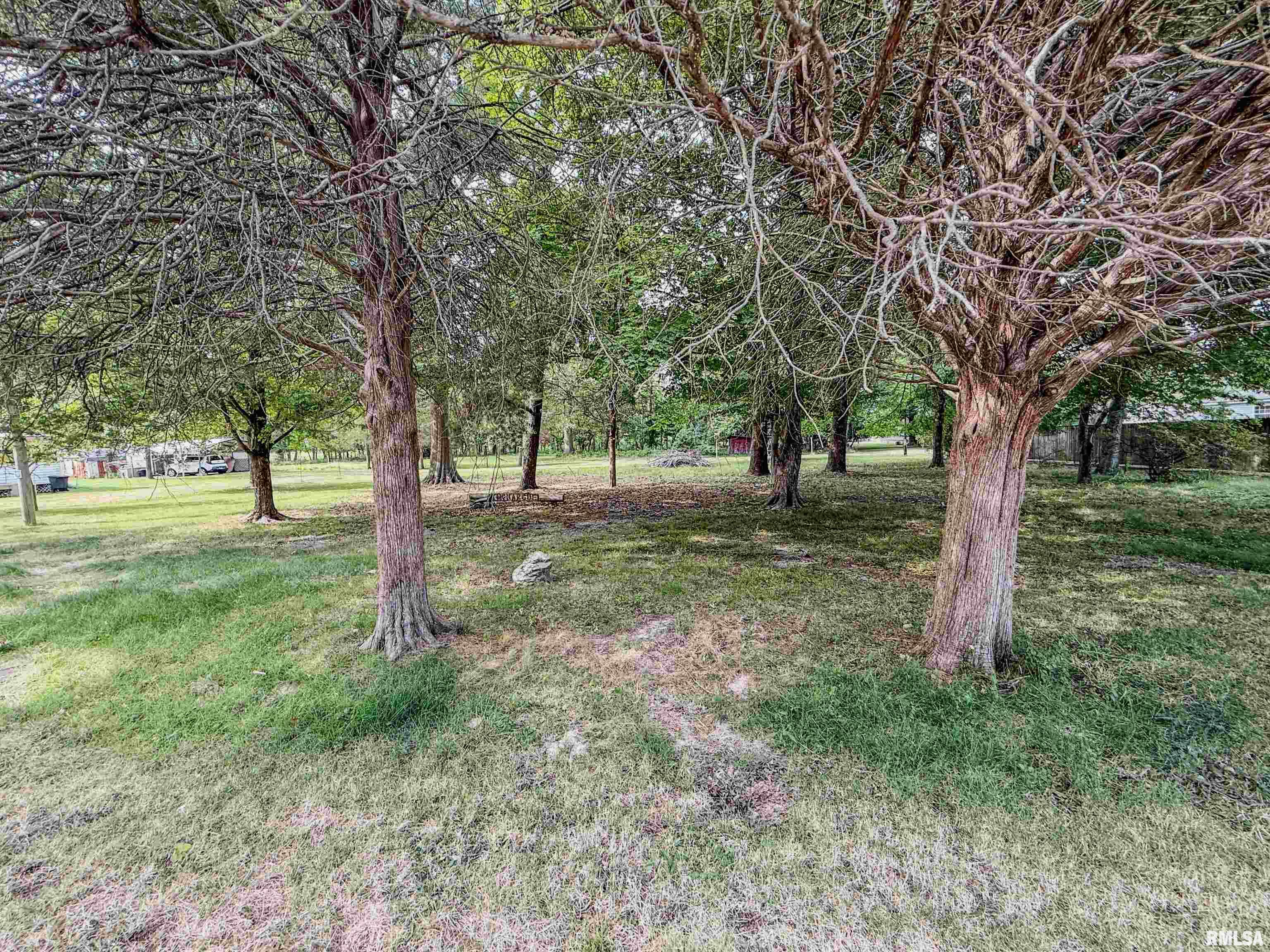 325 East Webster Street Herrin, IL 62948 - Photo 39 of 50