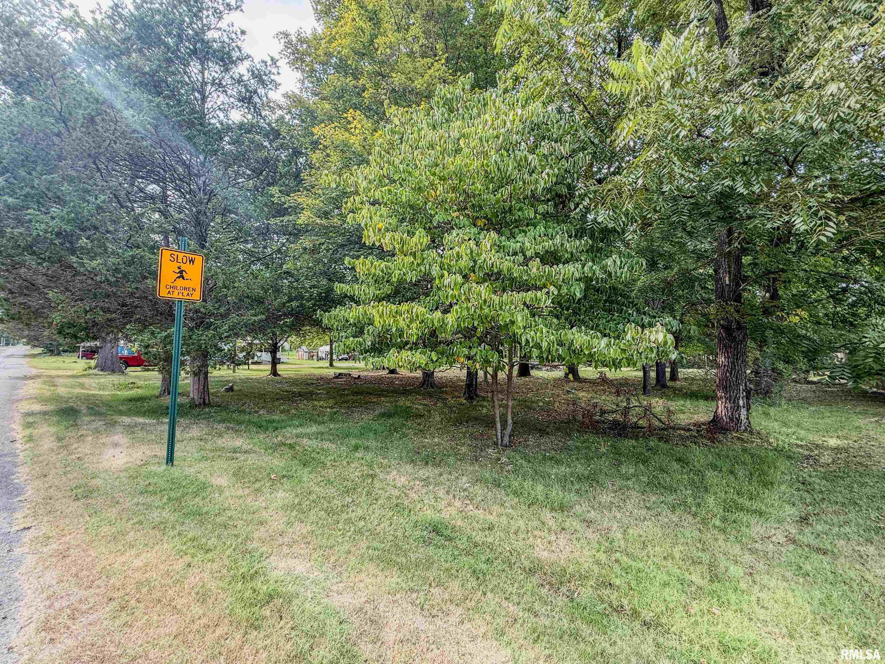 325 East Webster Street Herrin, IL 62948 - Photo 40 of 50