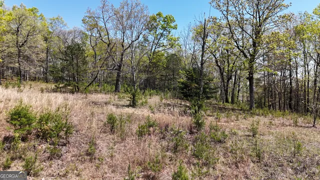 $101,000 | Lot 20 Heyden Ridge Drive, Clarkesville, GA 30523