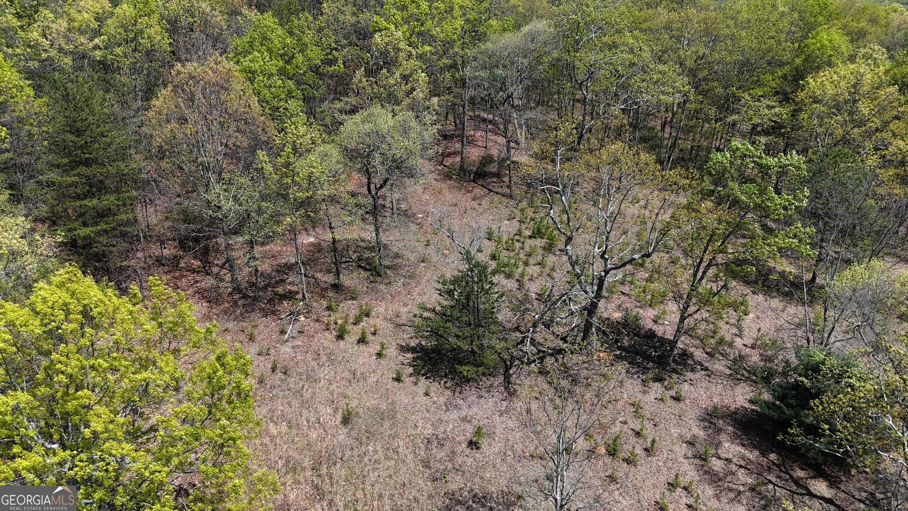 Lot 20 Heyden Ridge Drive Clarkesville, GA 30523 - Photo 13 of 18