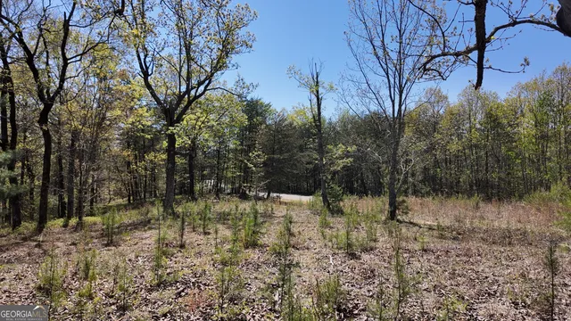 $101,000 | Lot 20 Heyden Ridge Drive, Clarkesville, GA 30523