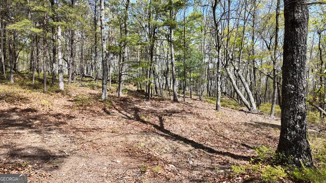 $101,000 | Lot 20 Heyden Ridge Drive, Clarkesville, GA 30523