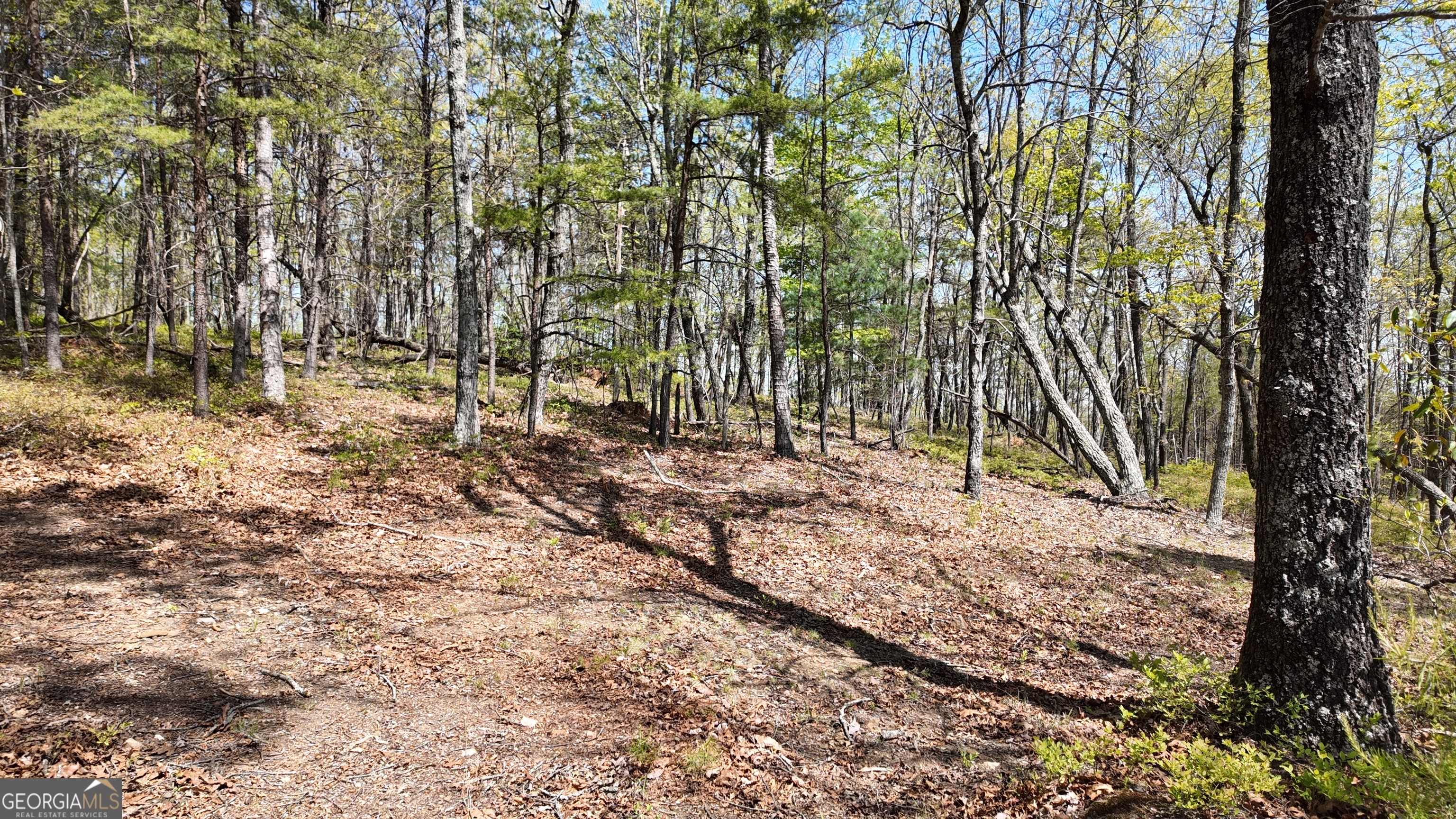Lot 20 Heyden Ridge Drive Clarkesville, GA 30523 - Photo 5 of 18