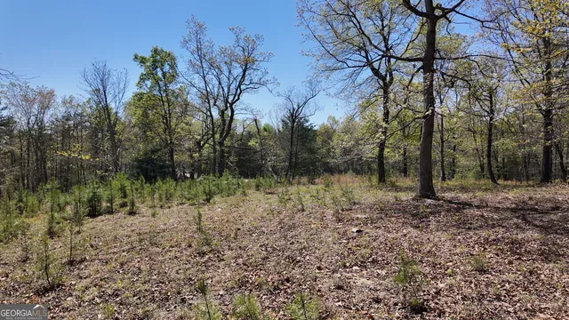 $101,000 | Lot 20 Heyden Ridge Drive, Clarkesville, GA 30523