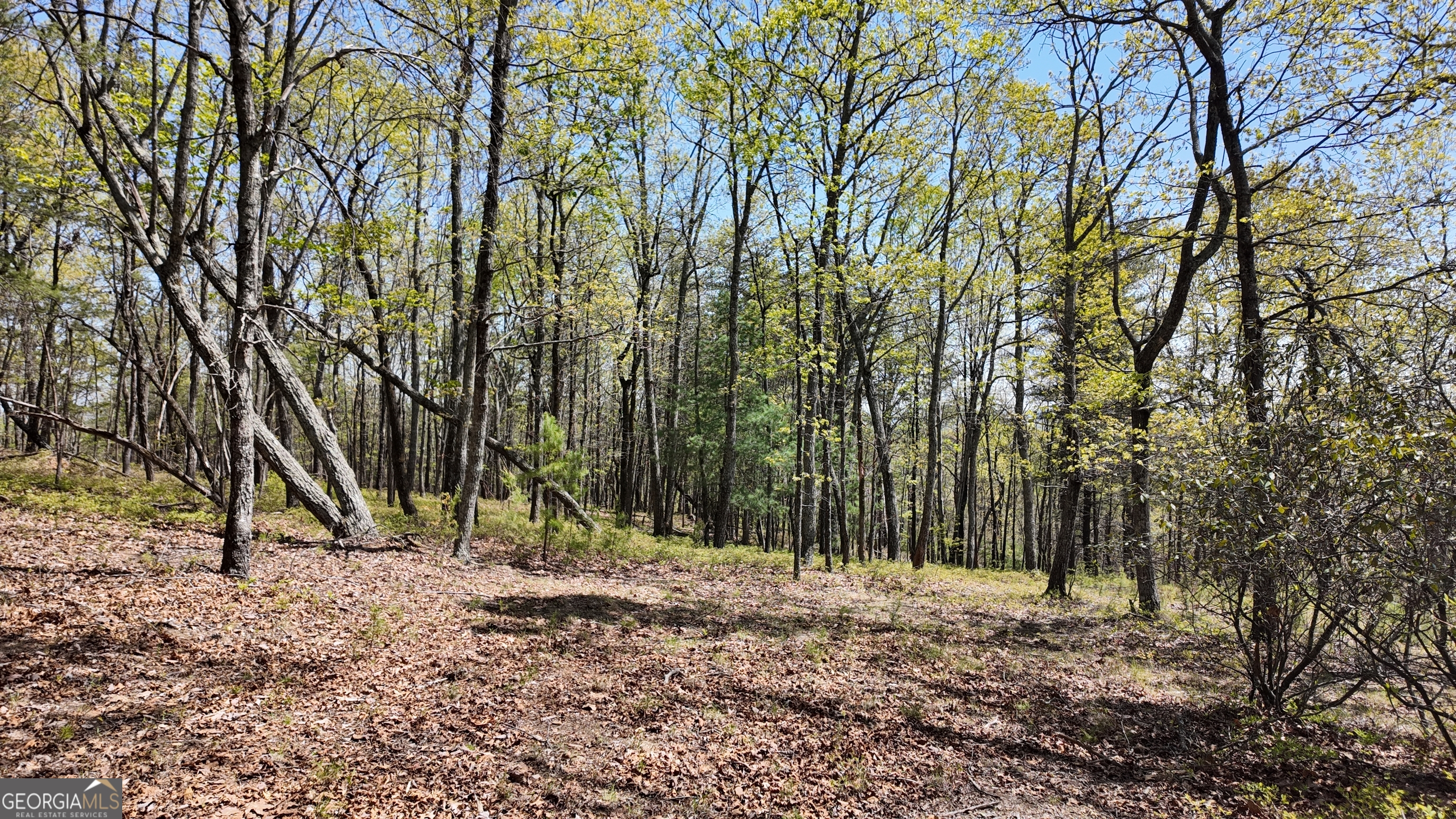 Lot 20 Heyden Ridge Drive Clarkesville, GA 30523 - Photo 7 of 18