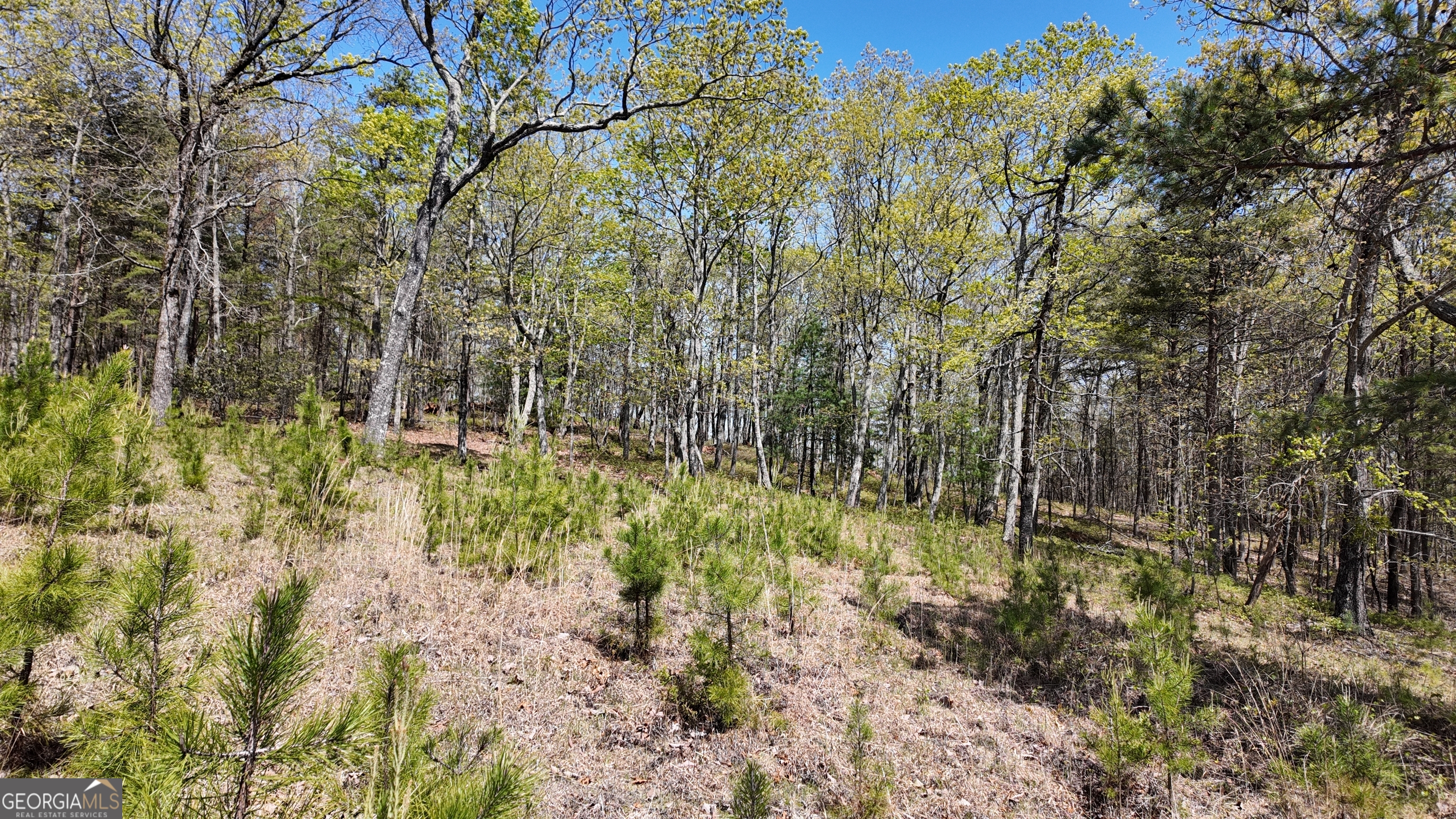 Lot 20 Heyden Ridge Drive Clarkesville, GA 30523 - Photo 8 of 18