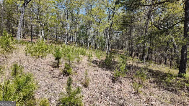 $101,000 | Lot 20 Heyden Ridge Drive, Clarkesville, GA 30523