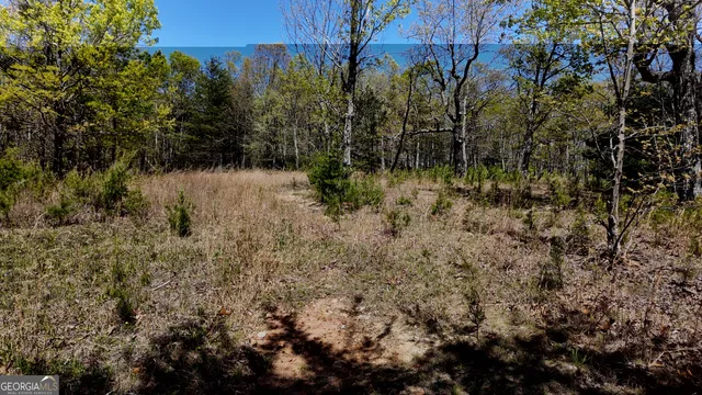 $101,000 | Lot 20 Heyden Ridge Drive, Clarkesville, GA 30523