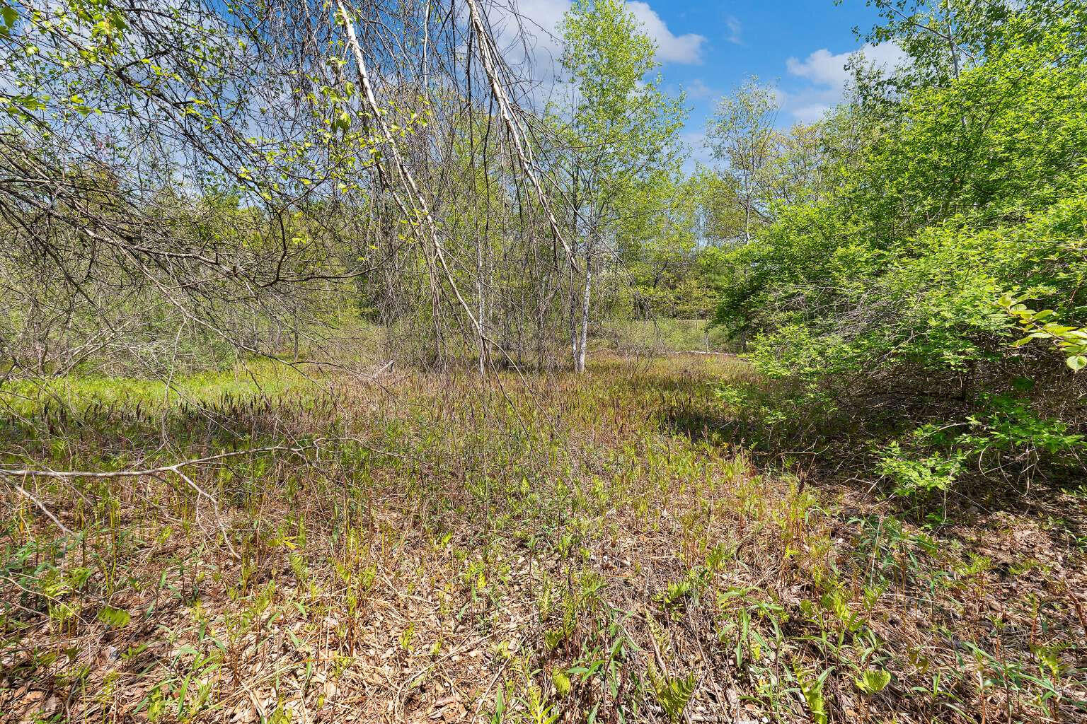 Lot B River Road Leeds, ME 04263 - Photo 15 of 20 Sargent.15