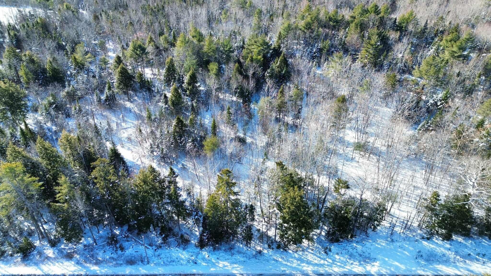 Lot #4 Russell Hill Road Bucksport, ME 04416 - Photo 2 of 3 660d3a87-d475-49ab-b0e0-e9d7bf191434 (1)