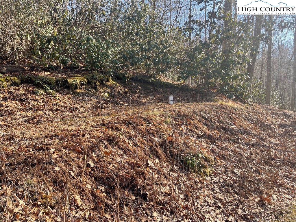 12 Jackson Ridge Road Boone, NC 28607 - Photo 3 of 9 Gallery Image 3