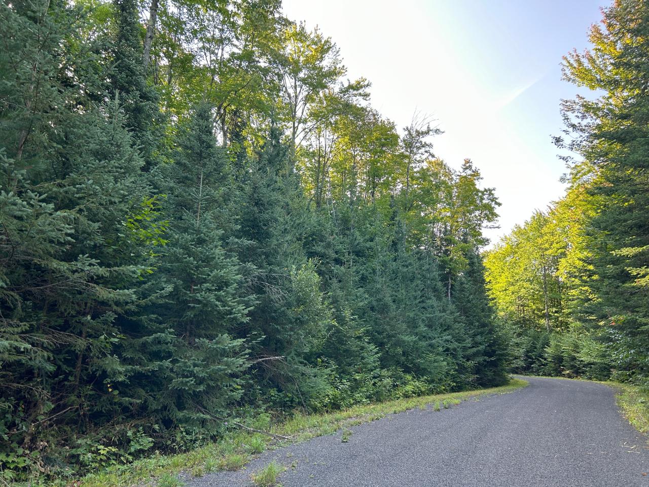 Lot 72 Powderhorn Road Presque Isle, WI 54557 - Photo 10 of 17 Gallery Image 10