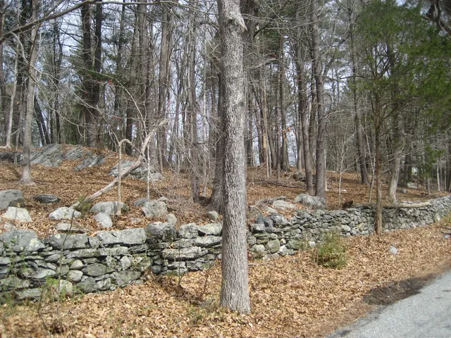 a view of a yard with trees