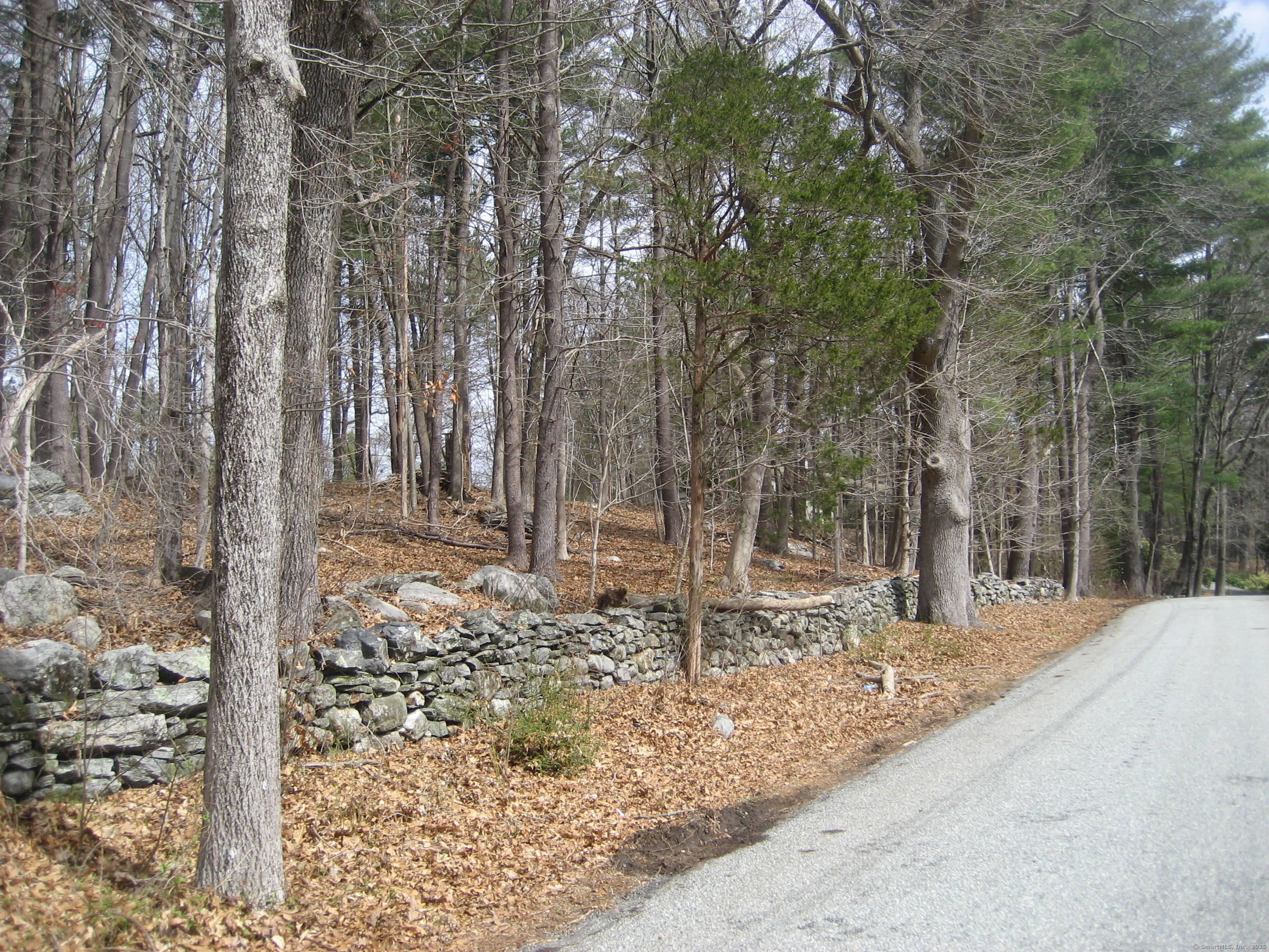 18 Reservoir Road Norwich, CT 06360 - Photo 2 of 2 a backyard of a house with lots of green space