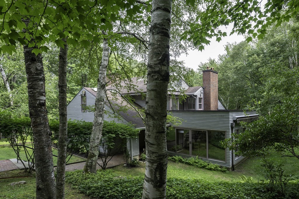 a house in middle of forest