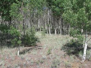 2376 Remington Road Como, CO 80432 - Photo 1 of 6 Gallery Image 1